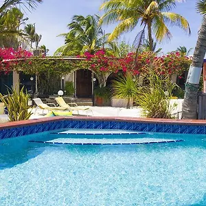 House Aruba Apartment Palm Beach
